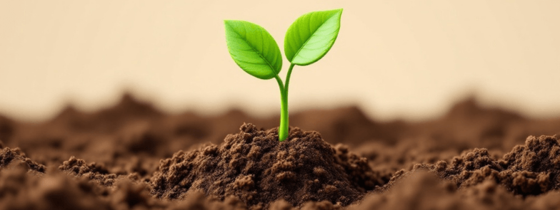 A claymation-style image of a seedling sprouting from textured brown soil, with two bright green leaves symbolizing growth and renewal. The background is a soft beige, creating a calm and natural feel.